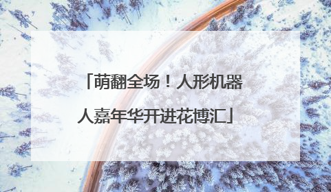 萌翻全场！人形机器人嘉年华开进花博汇